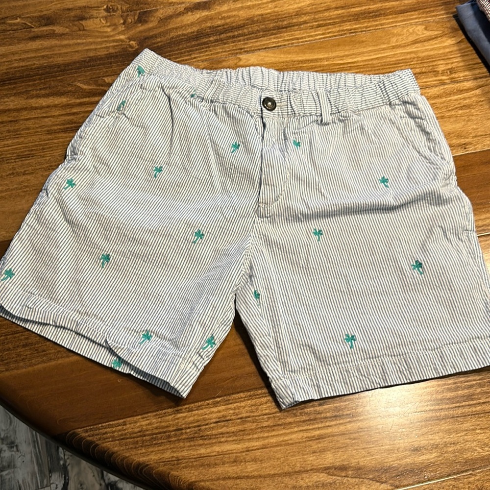 Chubbies seersucker shorts
